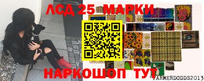 ГАЛЛЮЦИНОГЕННЫЕ ГРИБЫ Кулебаки