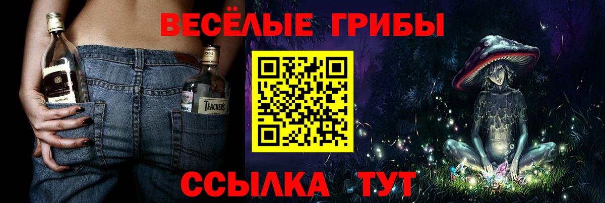 Галлюциногенные грибы MAGIC MUSHROOMS  Галлюциногенные грибы GOLDEN TEACHER  Звенигород  Вход с VPN 